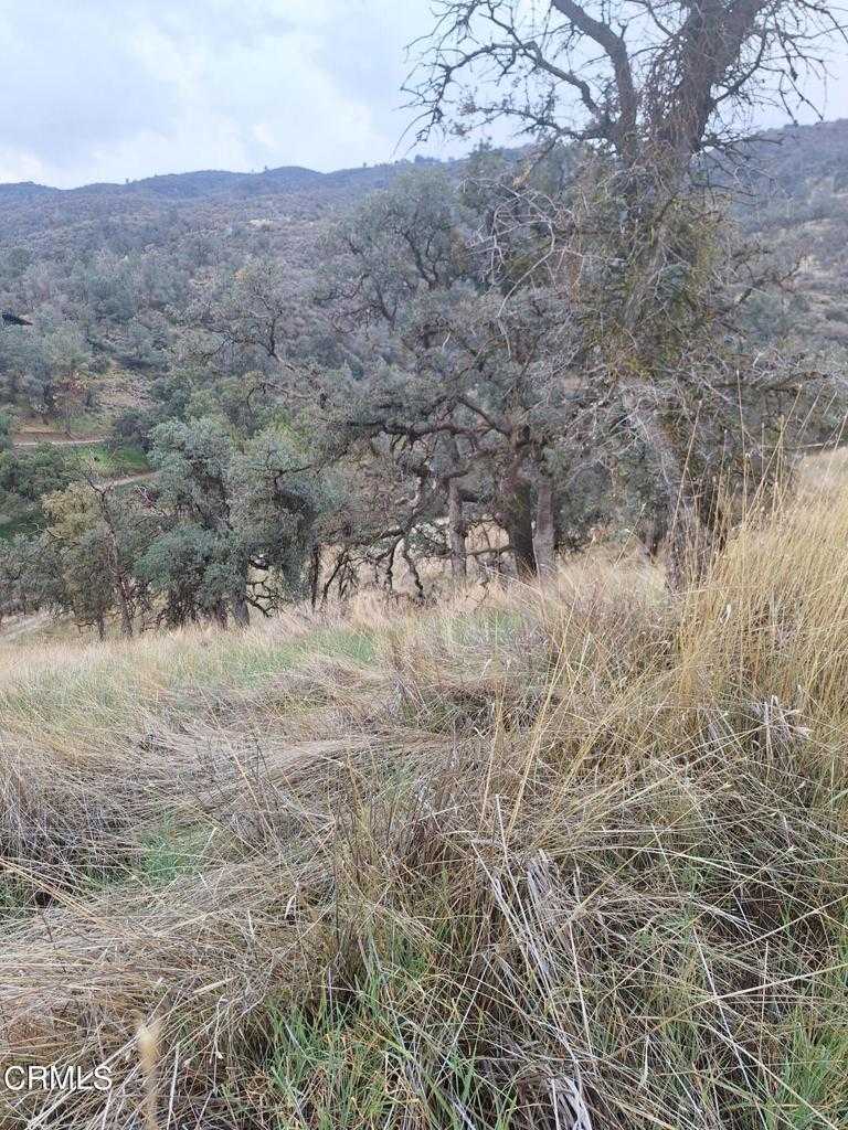 photo 1: 28600 Ridgeview Court, Tehachapi CA 93561