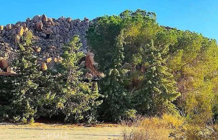 photo 2: 66058 Foothill Drive, Joshua Tree CA 92252