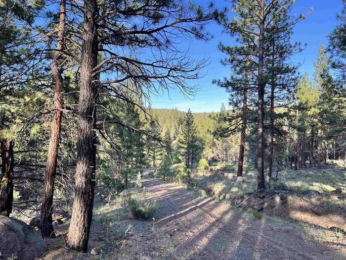 photo 11: Ashland Rd, Alturas CA 96101