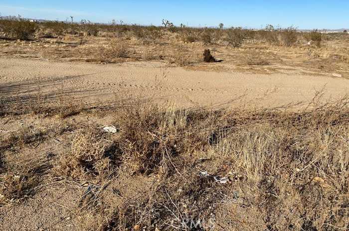 photo 5: MOJAVE/VERBENA, Adelanto CA 93201