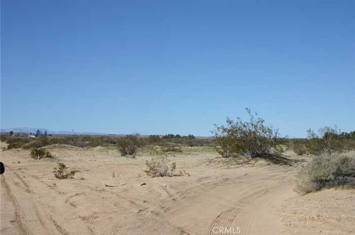 photo 2: Amboy Road, 29 Palms CA 92277