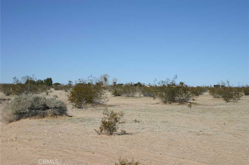 photo 3: Amboy Road, 29 Palms CA 92277