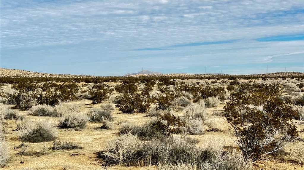 photo 3: Balsamo Road, Kramer Junction CA 93516