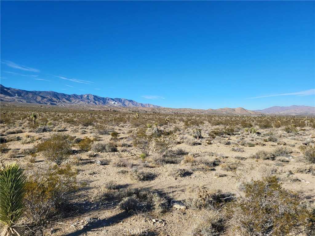 photo 3: Camp Rock 0449-651-44 Road, Lucerne Valley CA 92356