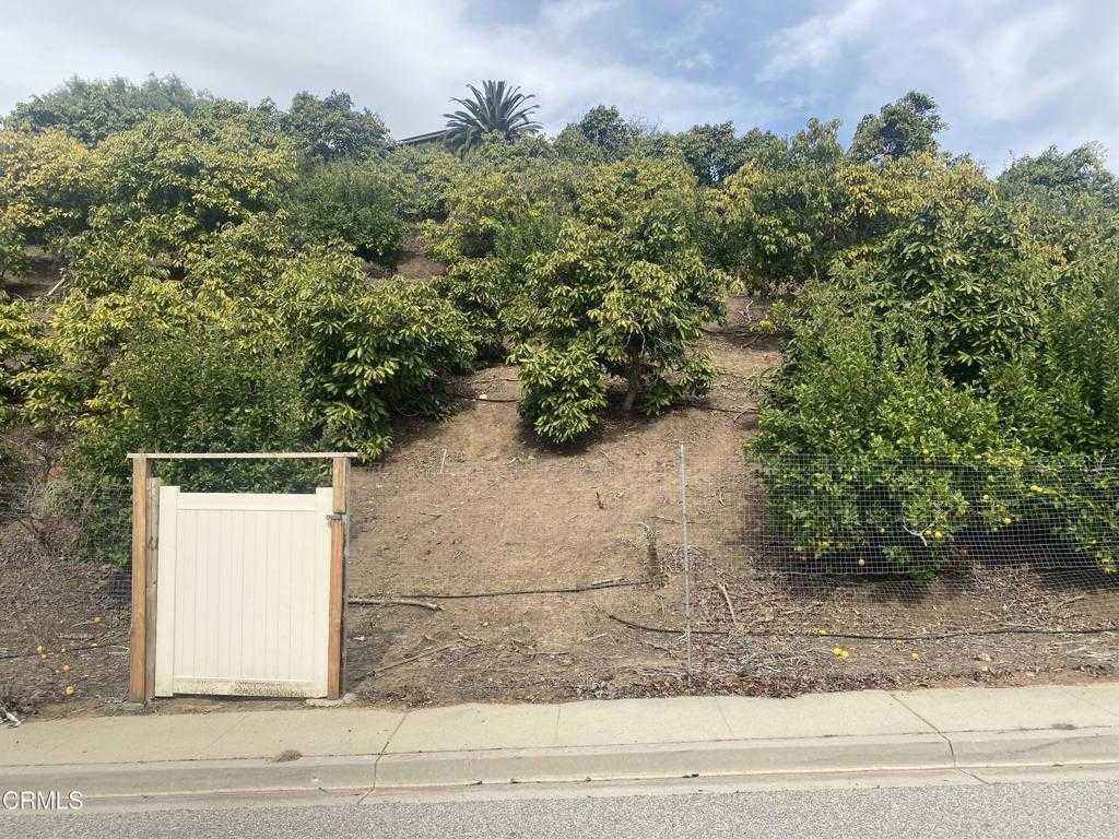 photo 3: 233 E View Drive, Santa Paula CA 93060