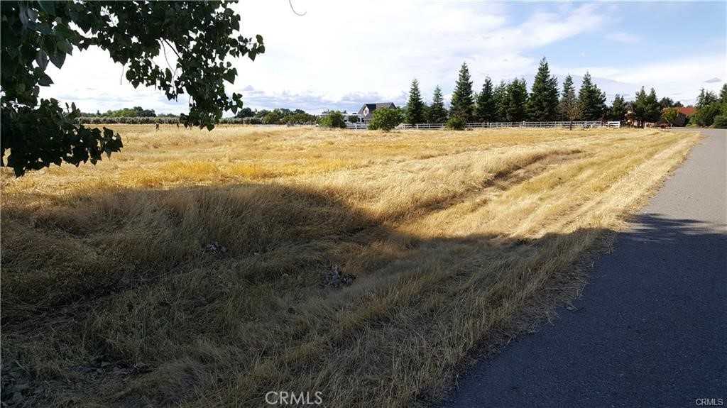 photo 3: 6150 County Road 200, Orland CA 95963