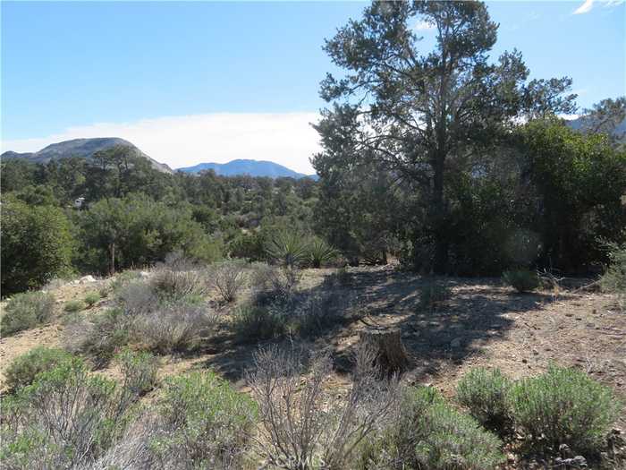 photo 1: 155 Lot #155 Buckthorn, Mountain Center CA 92561