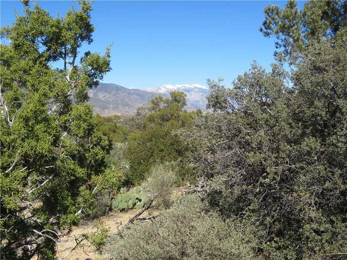 photo 2: 155 Lot #155 Buckthorn, Mountain Center CA 92561