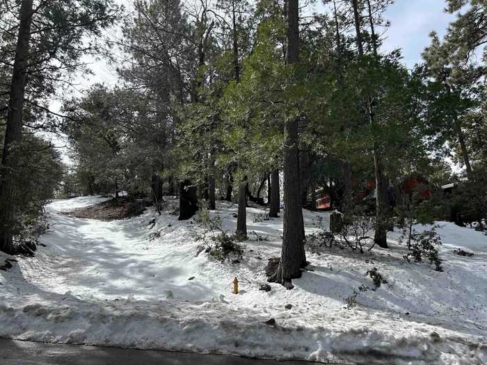 photo 2: 8 Saunders Meadow Rd, Idyllwild CA 92549