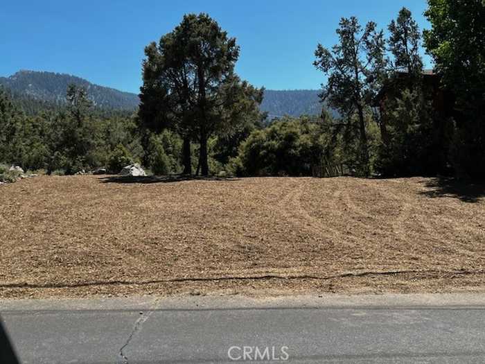 photo 1: 2045 Woodland Drive, Pine Mountain Club CA 93225