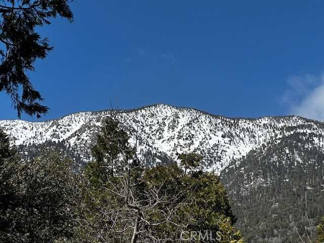 photo 1: Fir Drive, Forest Falls CA 92339