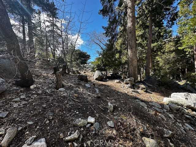 photo 2: Fir Drive, Forest Falls CA 92339