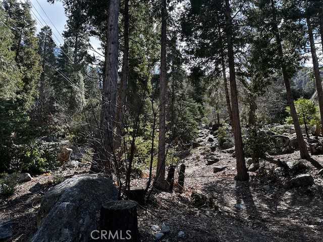 photo 3: Fir Drive, Forest Falls CA 92339