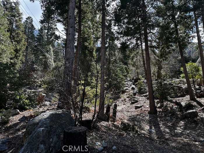 photo 4: Fir Drive, Forest Falls CA 92339