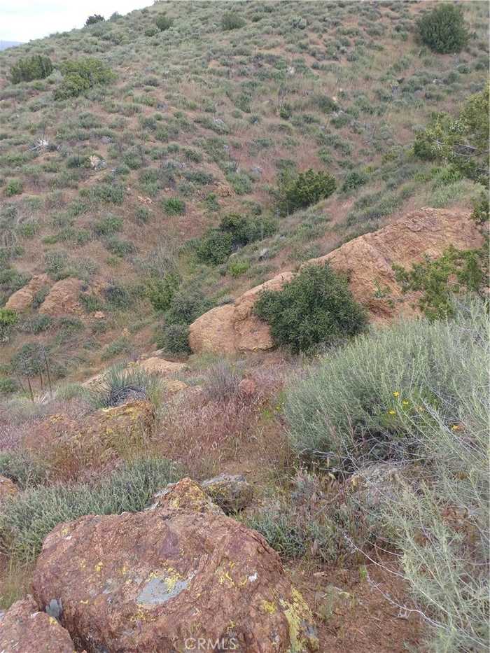 photo 11: Vac/Alfie Road Drt Vic Shallow, Agua Dulce CA 91350