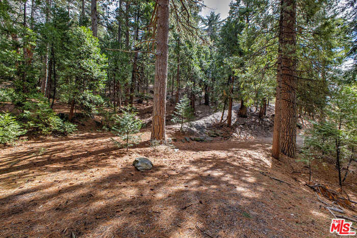 photo 10: 25450 Norwood Drive, Idyllwild CA 92549