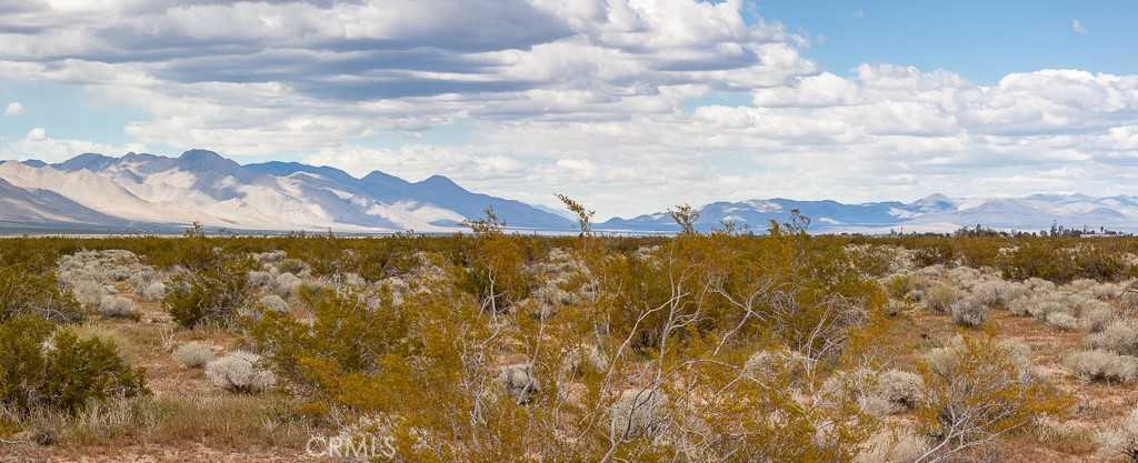 photo 2: Bowman, Inyokern CA 93527