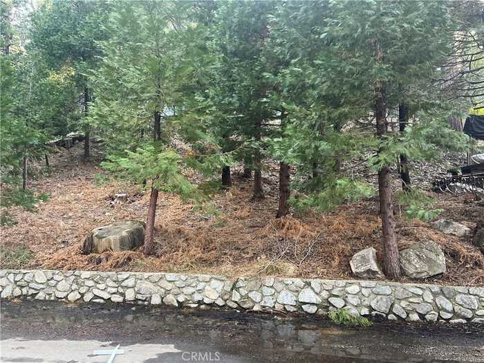 photo 2: Lakes Edge Road, Lake Arrowhead CA 92352