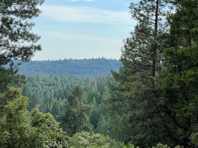 photo 2: 12444 Manion Canyon Road, Grass Valley CA 95945