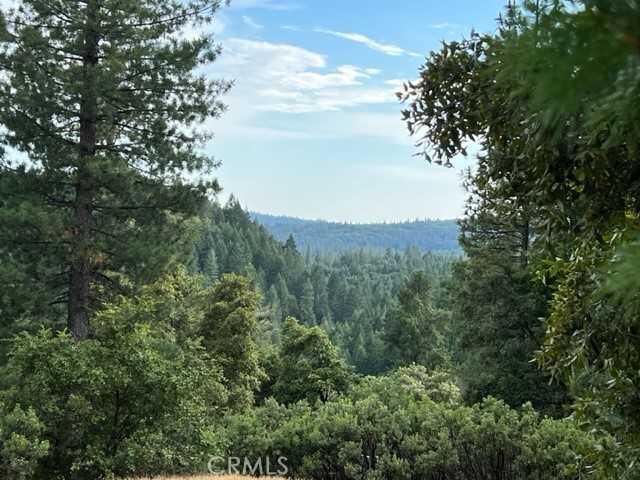 photo 3: 12444 Manion Canyon Road, Grass Valley CA 95945