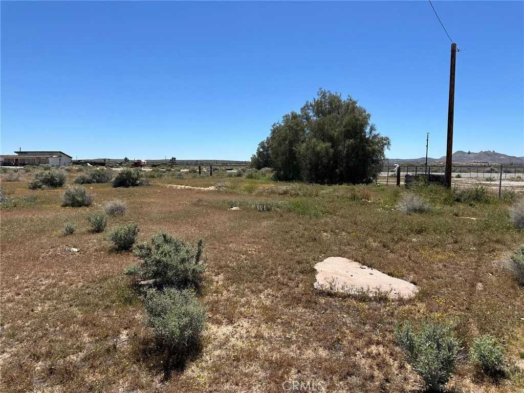 photo 1: 27421 20 Mule Team Road, Boron CA 93516