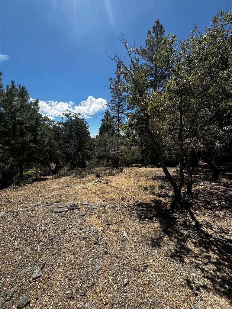 photo 2: Valley View Dr., Idyllwild CA 92561