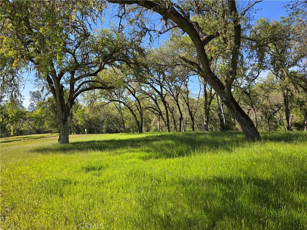 photo 3: 5860 Aluffo Road, Paso Robles CA 93446