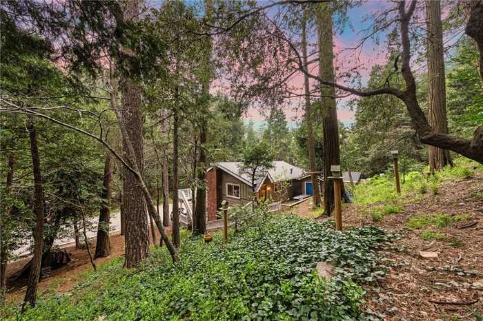 photo 1: 843 Fern Dr, Crestline CA 92325