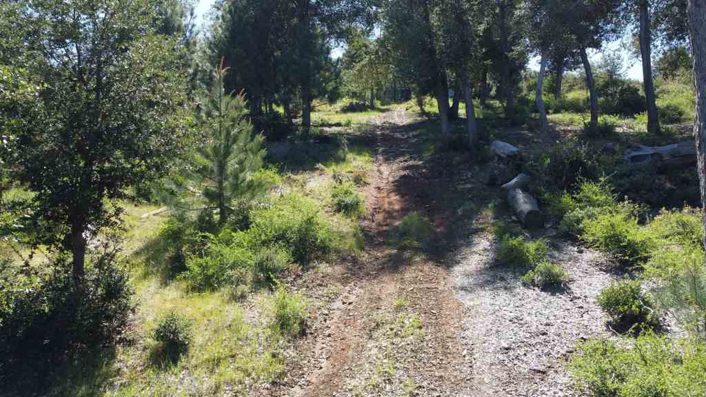 photo 1: Toyon Mountain Ln., Julian CA 92036