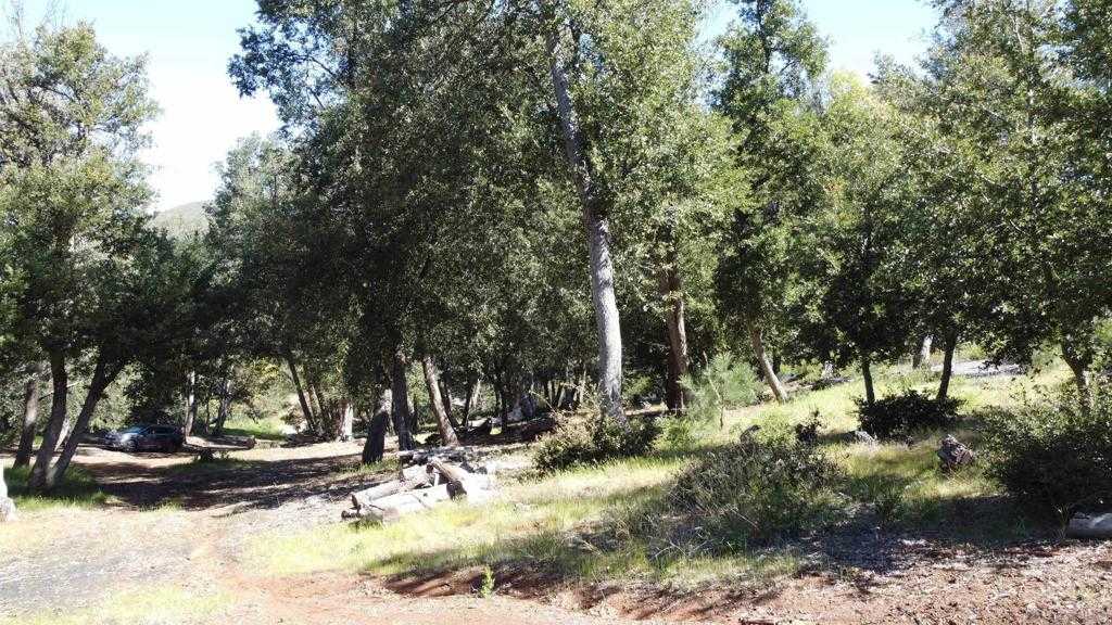 photo 3: Toyon Mountain Ln., Julian CA 92036