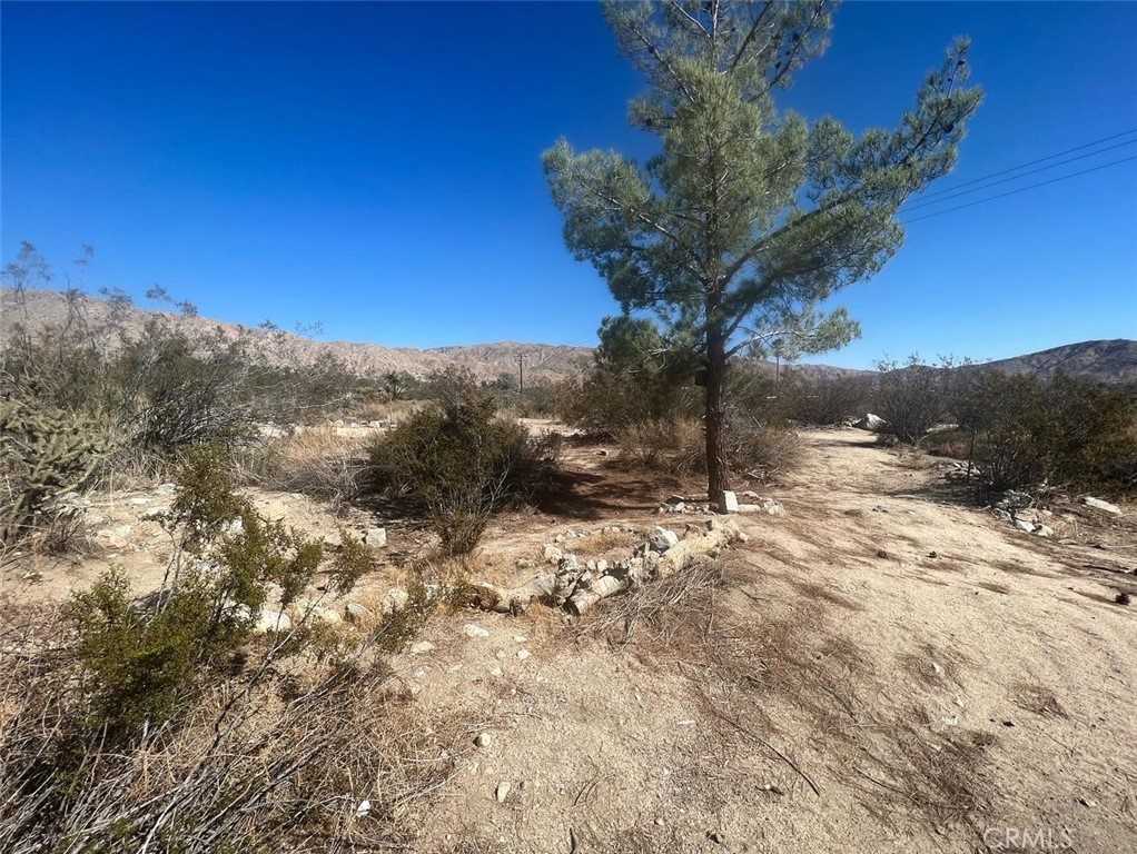 photo 1: Bella Vista Drive, Morongo Valley CA 92256