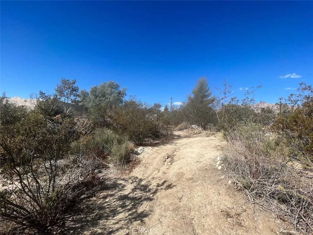 photo 2: Bella Vista Drive, Morongo Valley CA 92256