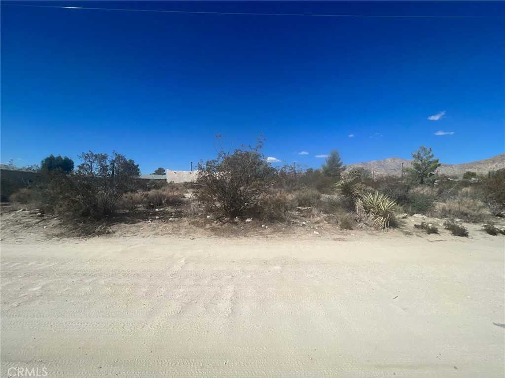 photo 3: Bella Vista Drive, Morongo Valley CA 92256