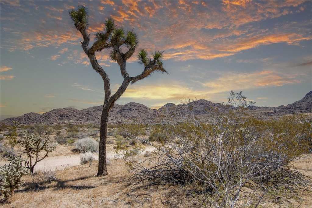 photo 3: 4444 Skyline Drive, Joshua Tree CA 92252