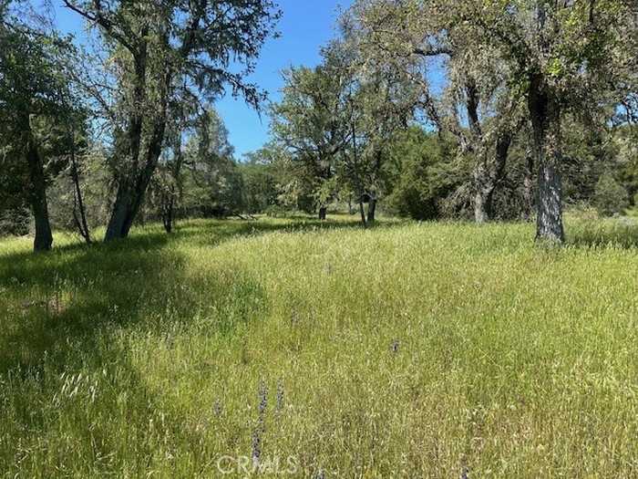 photo 2: 74620 Copperhead Road, Bradley CA 93426