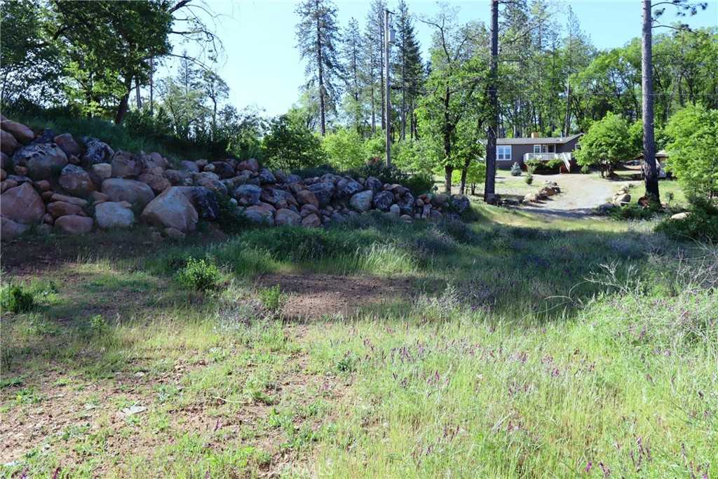 photo 2: 12030 Shenandoah Road, Loch Lomond CA 95461