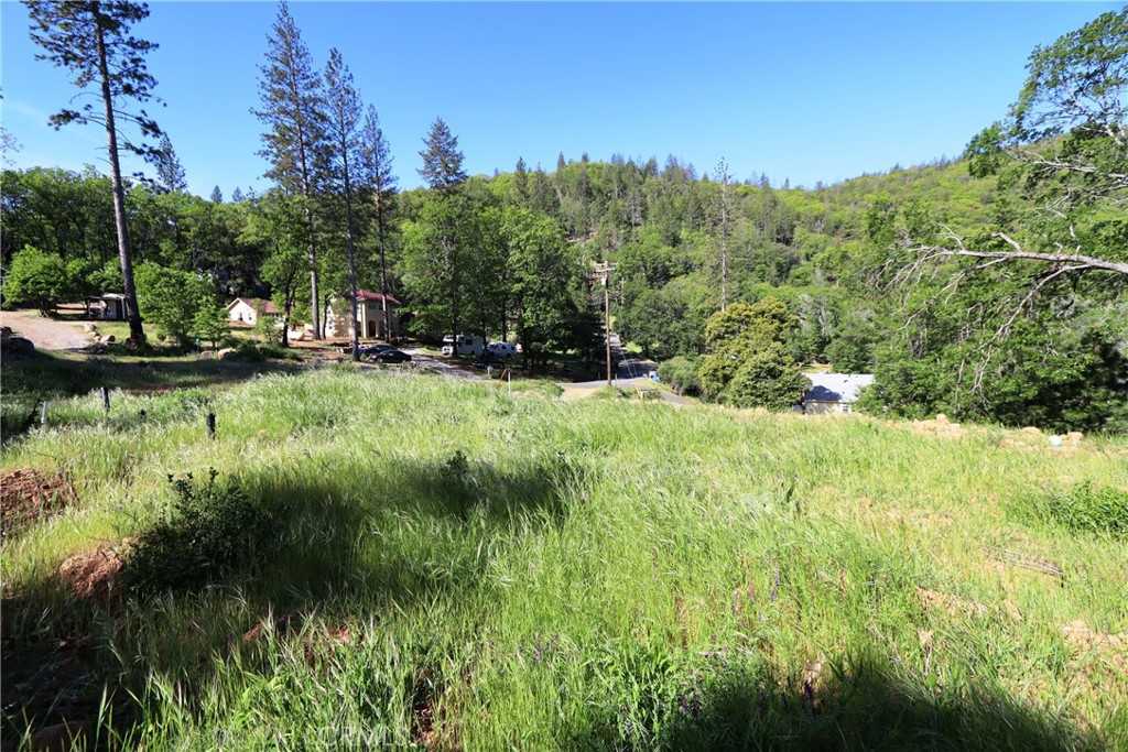 photo 3: 12030 Shenandoah Road, Loch Lomond CA 95461