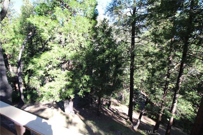 photo 21: 829 Strawberry Peak Lane, Twin Peaks CA 92391