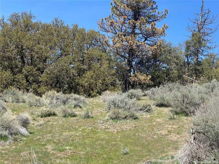 photo 1: 25301 Paramount Drive, Tehachapi CA 93561