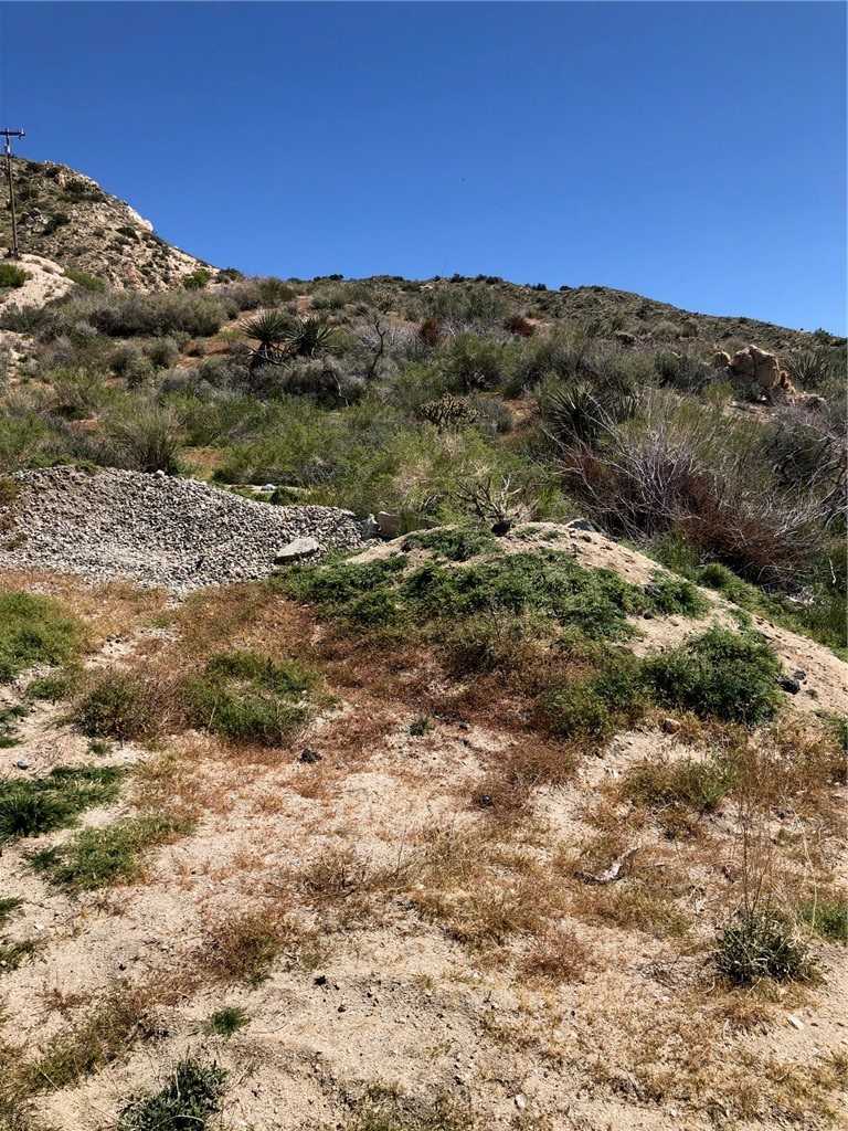 photo 2: 25 ACRES  APN# 0582081110000 / 0582081100000, Morongo Valley CA 92256