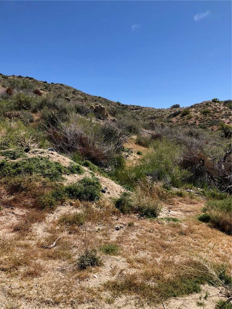 photo 3: 25 ACRES  APN# 0582081110000 / 0582081100000, Morongo Valley CA 92256