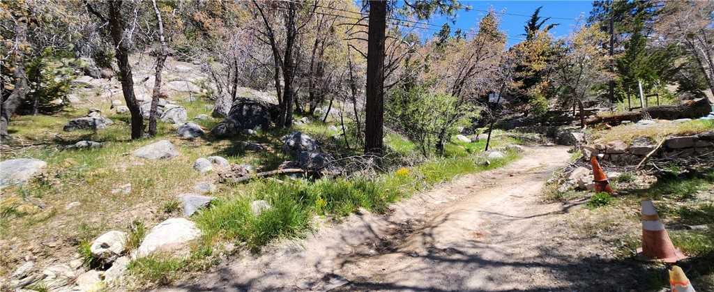 photo 3: Deer Lane, Arrowbear CA 92382