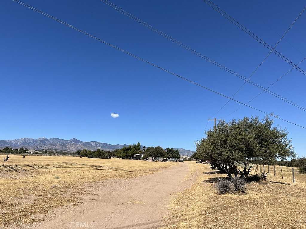 photo 3: 8288 White Road, Phelan CA 92371