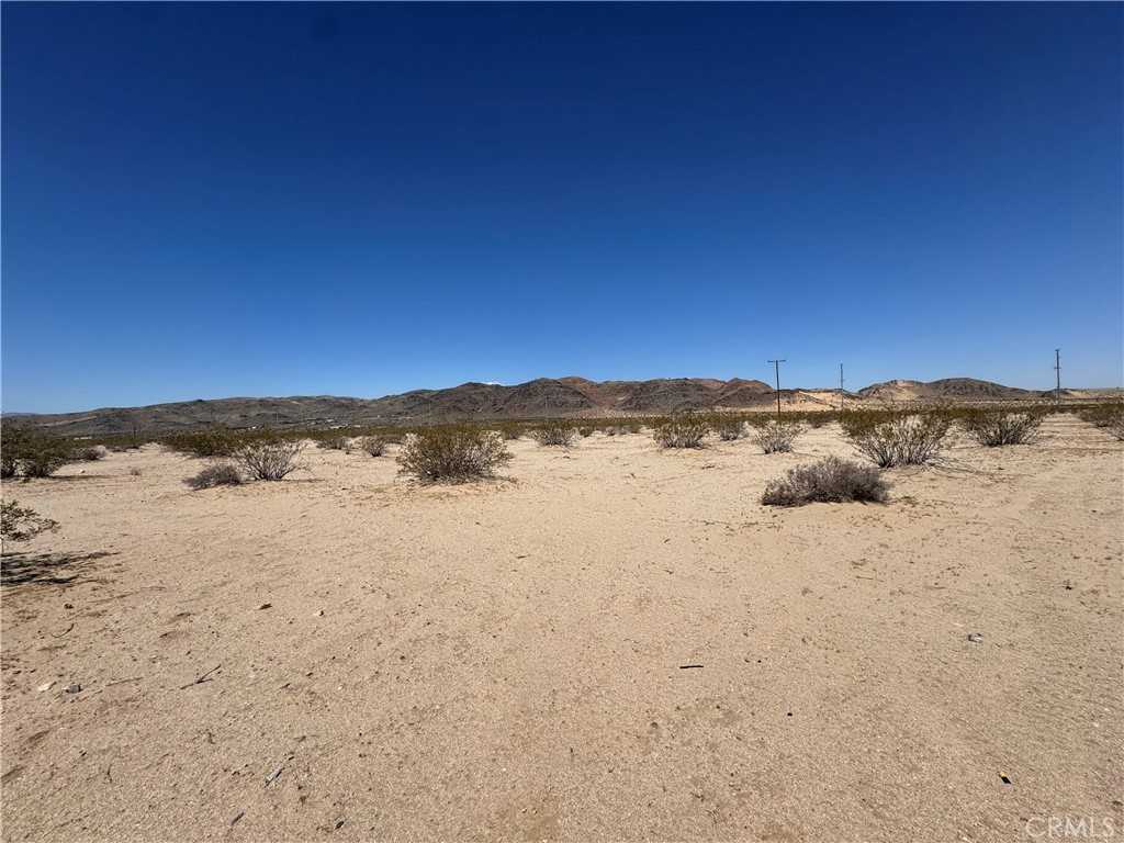 photo 3: 68750 Amboy Road, 29 Palms CA 92277