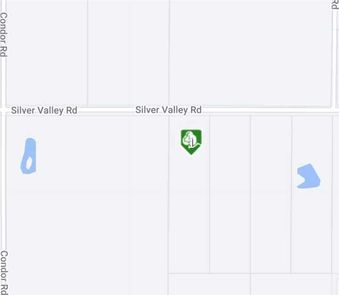 photo 2: 1 Silver Valley Road, Newberry Springs CA 92365