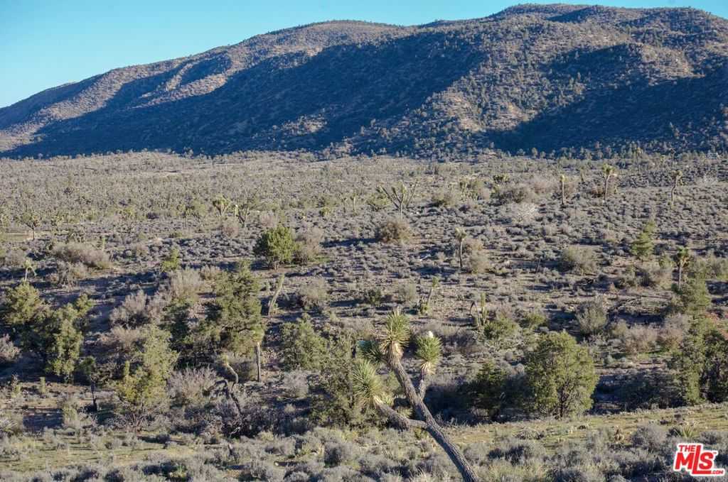 photo 3: 1 Antelope Creek Road, Pioneertown CA 92268