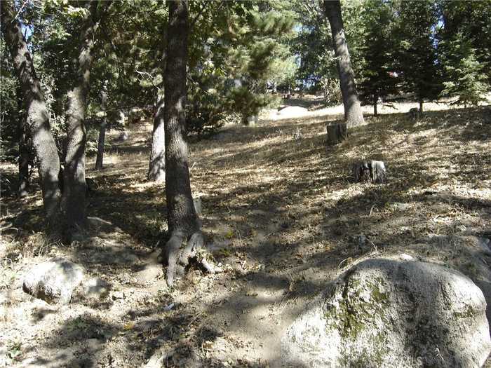 photo 15: Pine Trail, Twin Peaks CA 92391