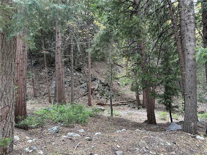 photo 1: Canyon Drive, Forest Falls CA 92339