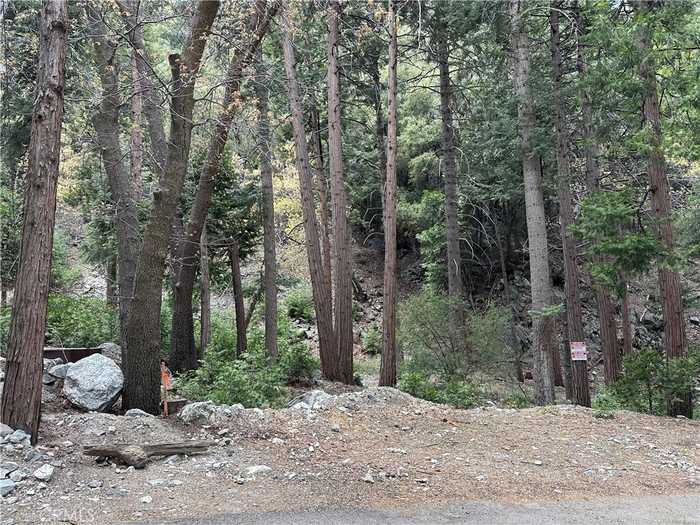 photo 2: Canyon Drive, Forest Falls CA 92339