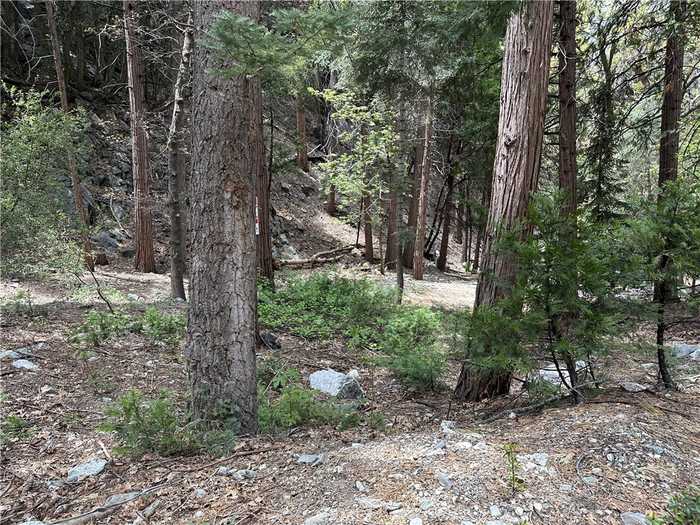 photo 3: Canyon Drive, Forest Falls CA 92339